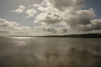 IMG_6231 